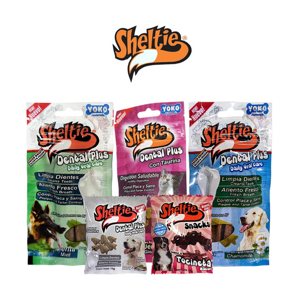 Sheltie_1