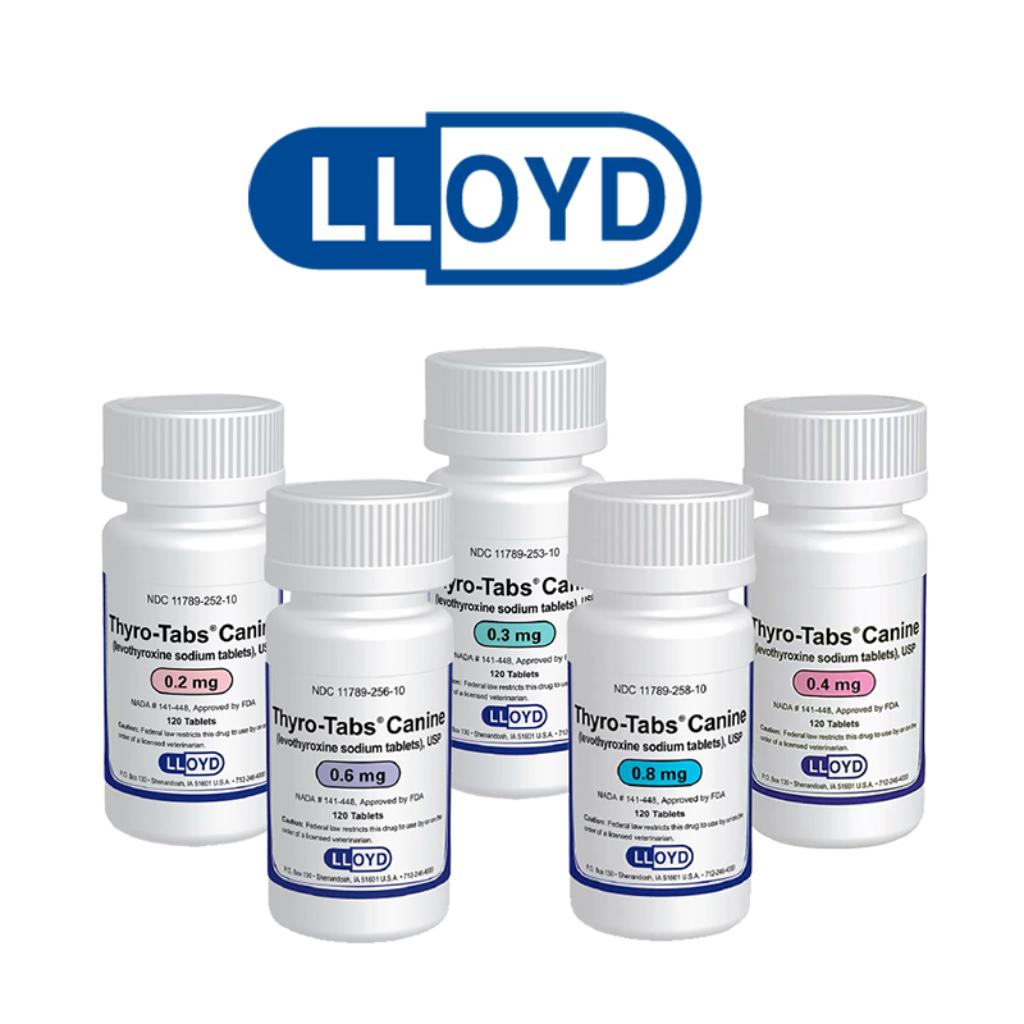 Lloyd_1