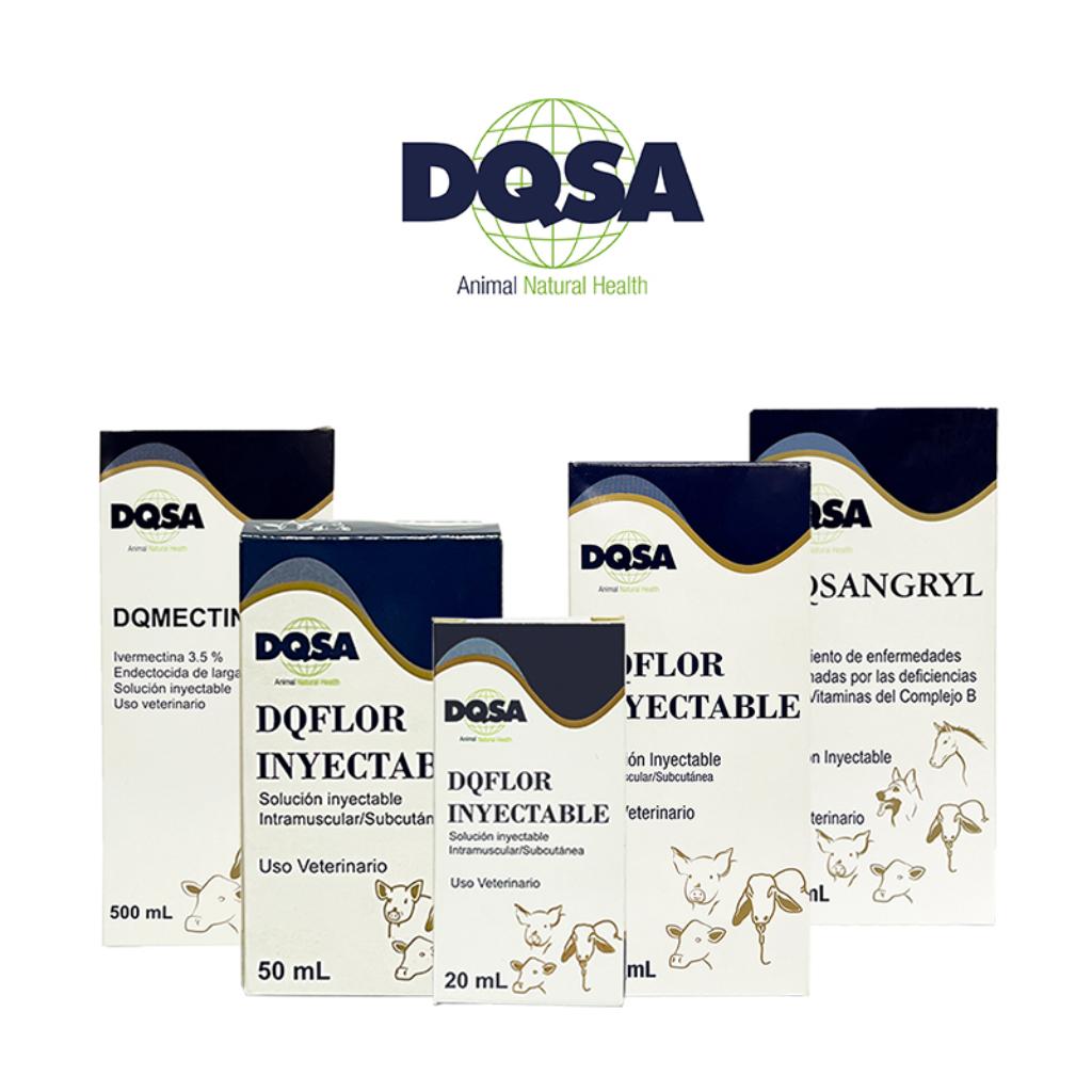 DQSA_1