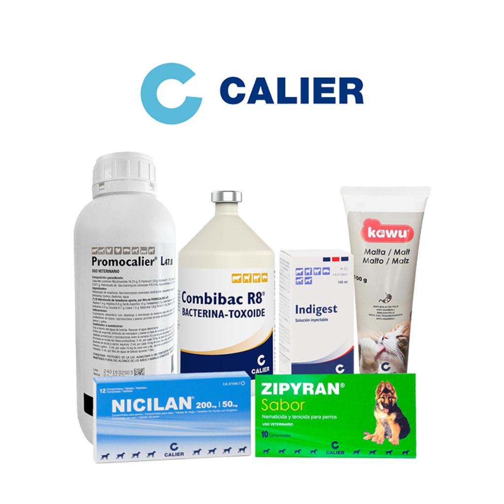 Calier_1