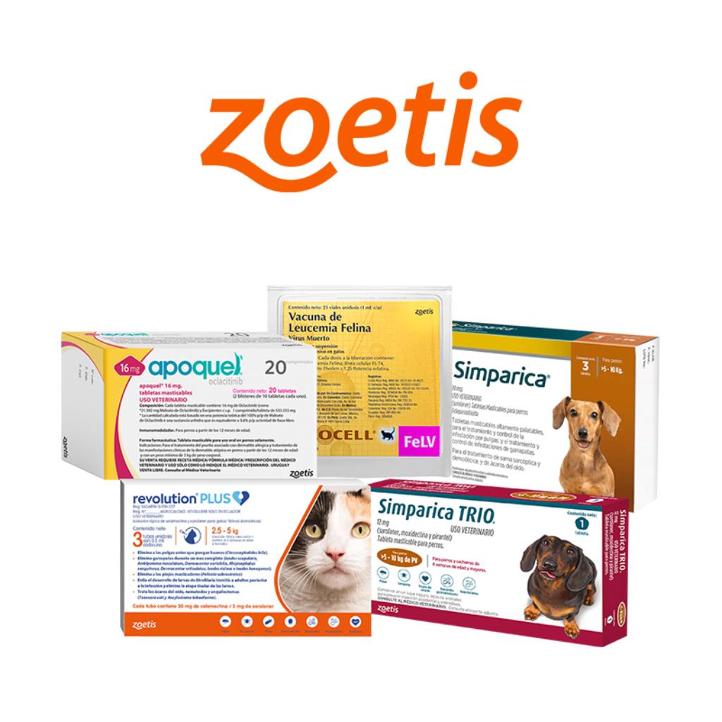 Zoetis_1