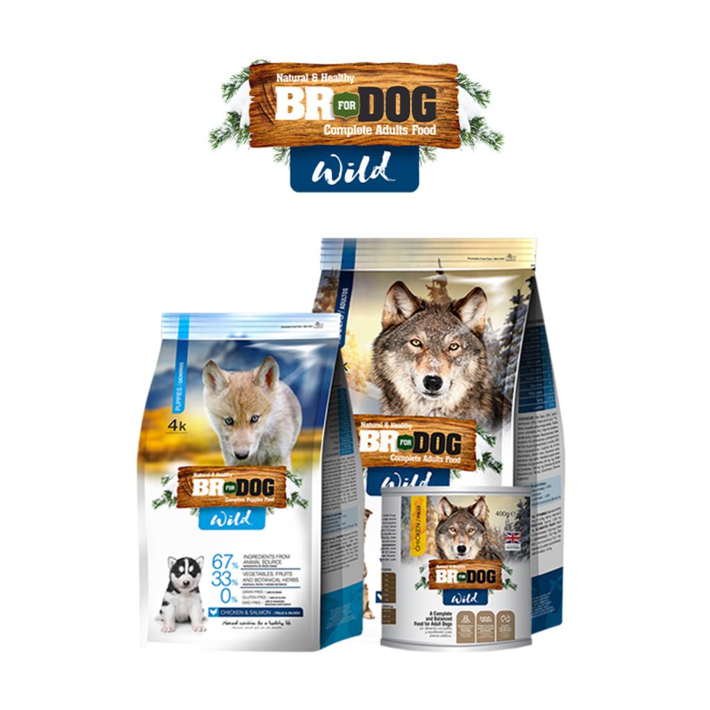 Br for Dog Wild_1