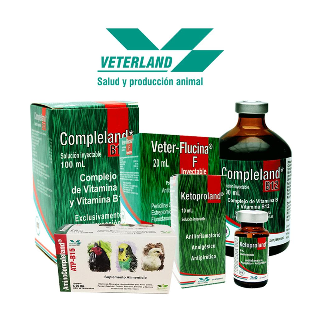 Veterland_1