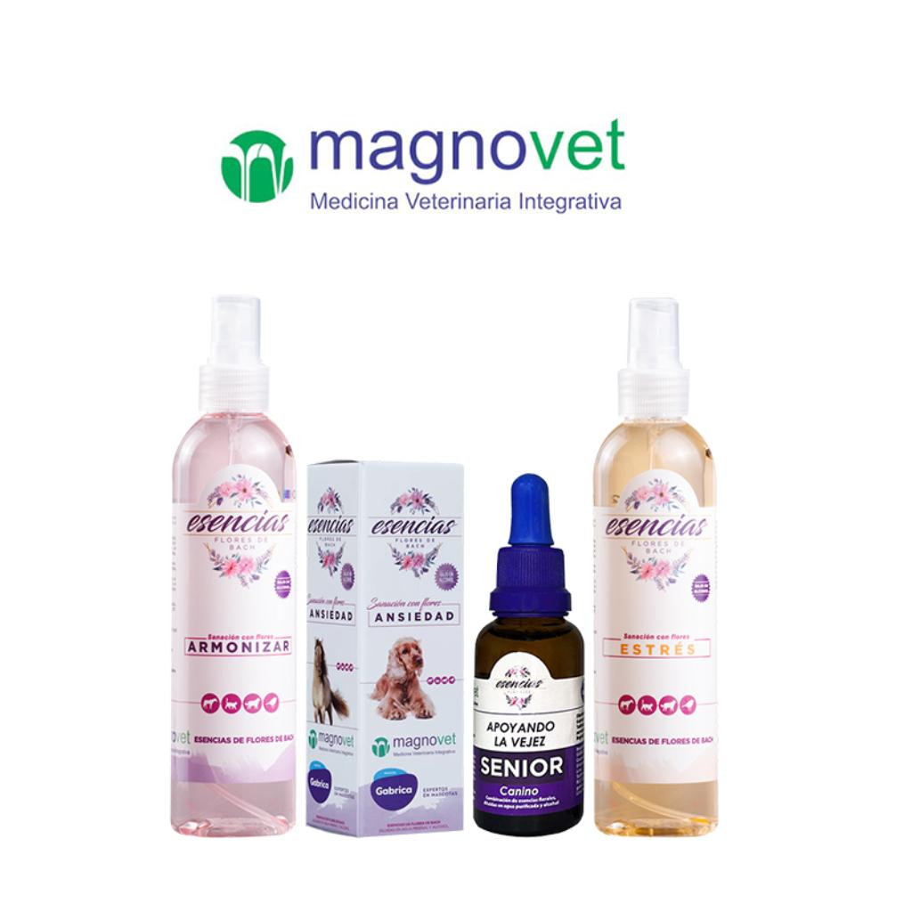 Magnovet_1