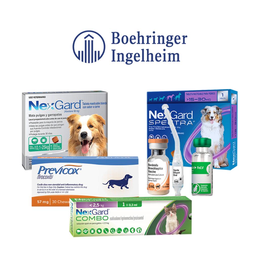 Boehringer_1