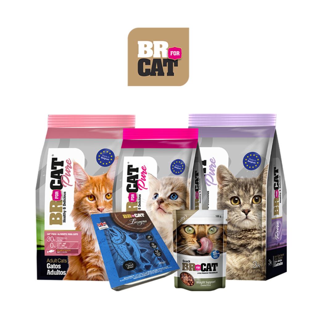 Br for Cat_1