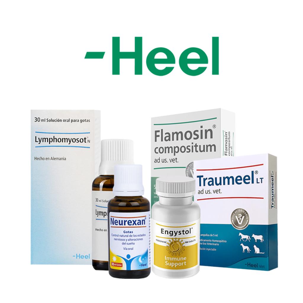 Heel_1
