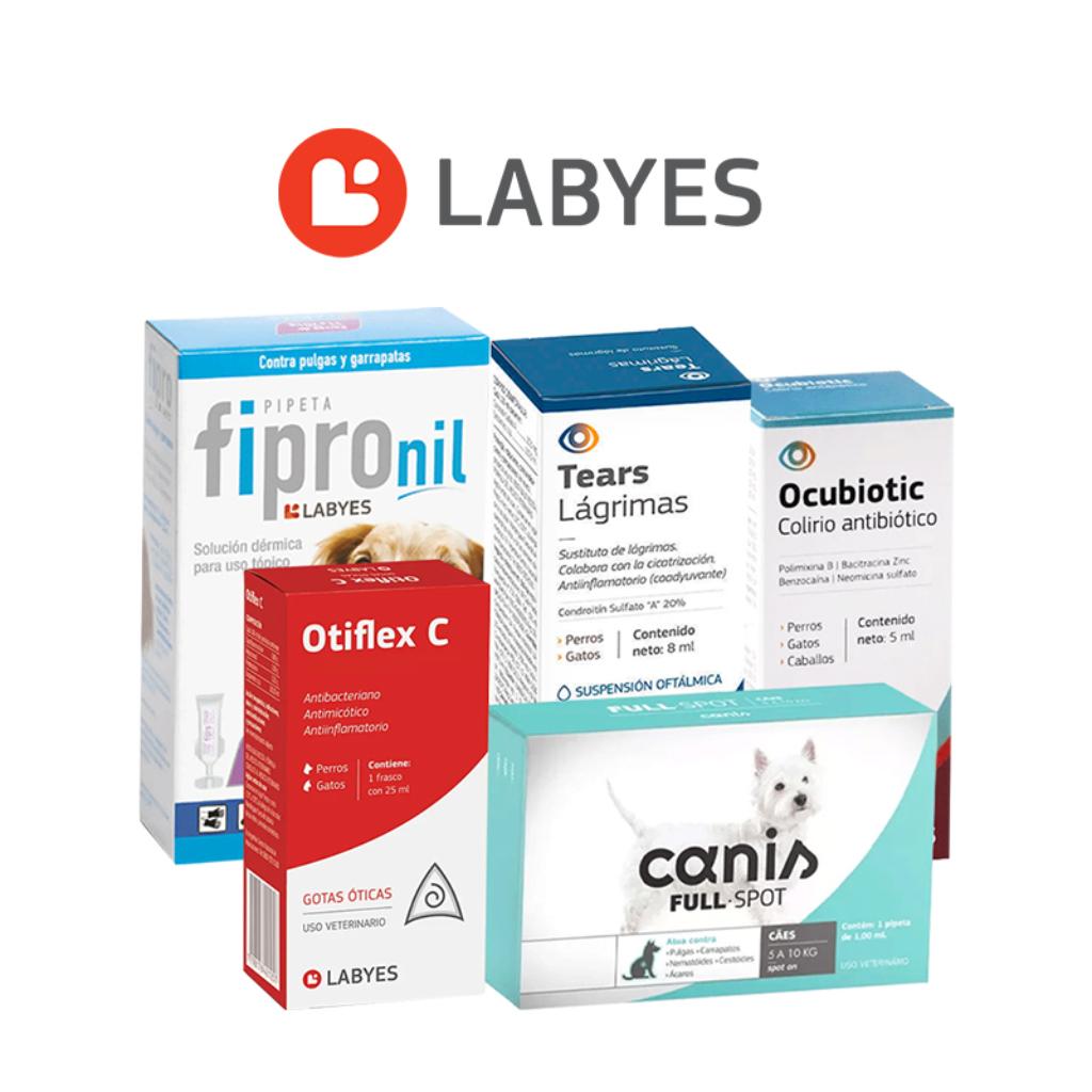 Labyes_1