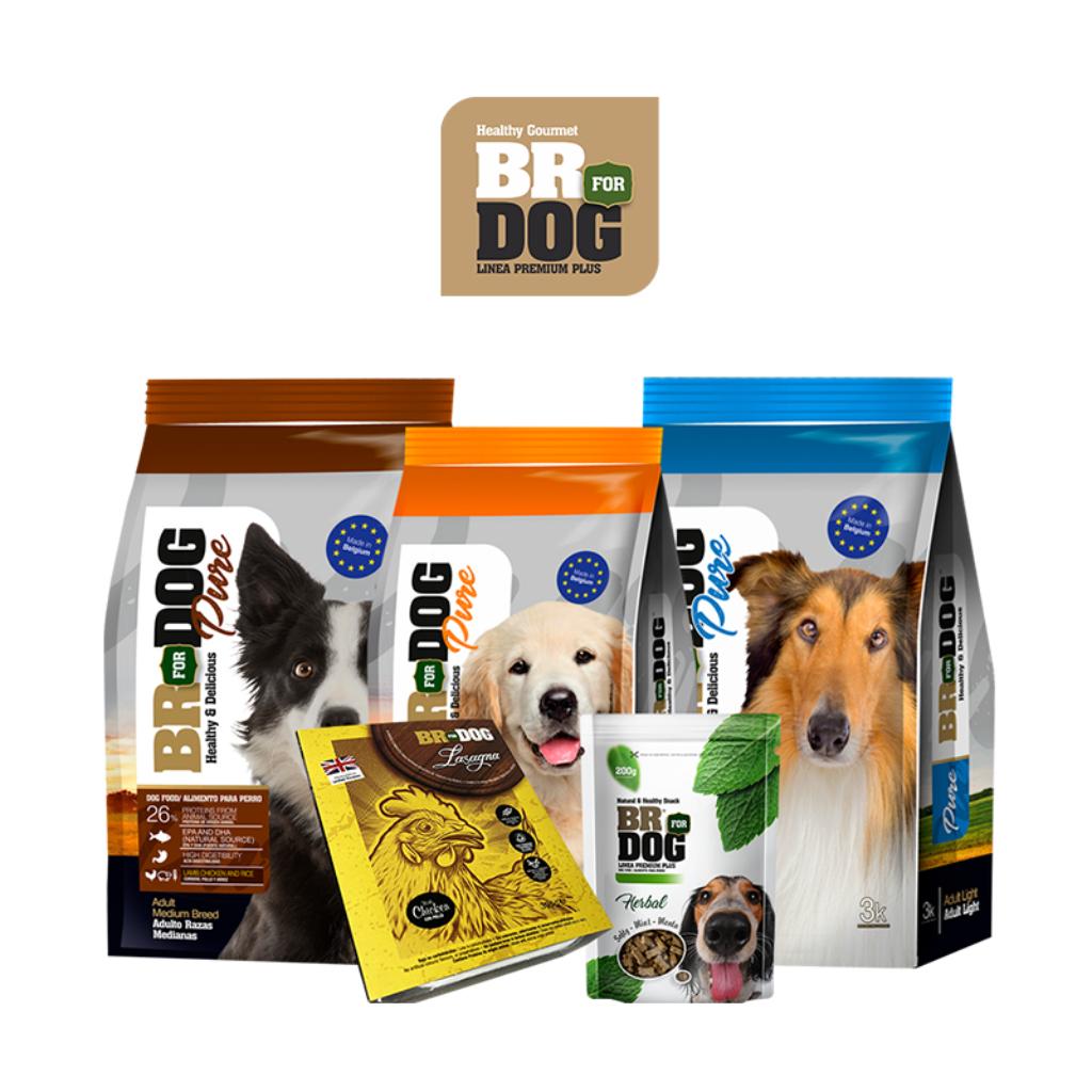 Br for Dog_1